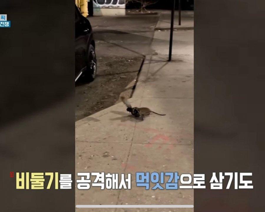 연봉 2억 개꿀 직업.jpg