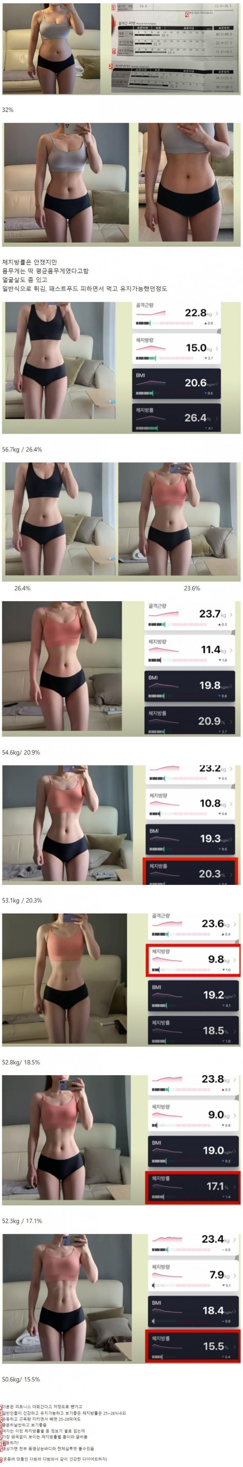 補正のない女性の体脂肪率別の体の写真