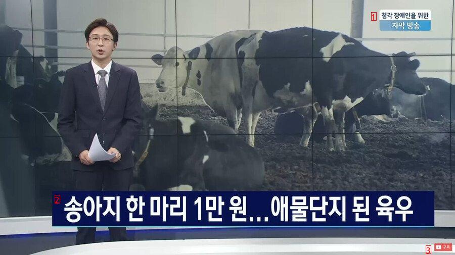 牛肉価格の近況