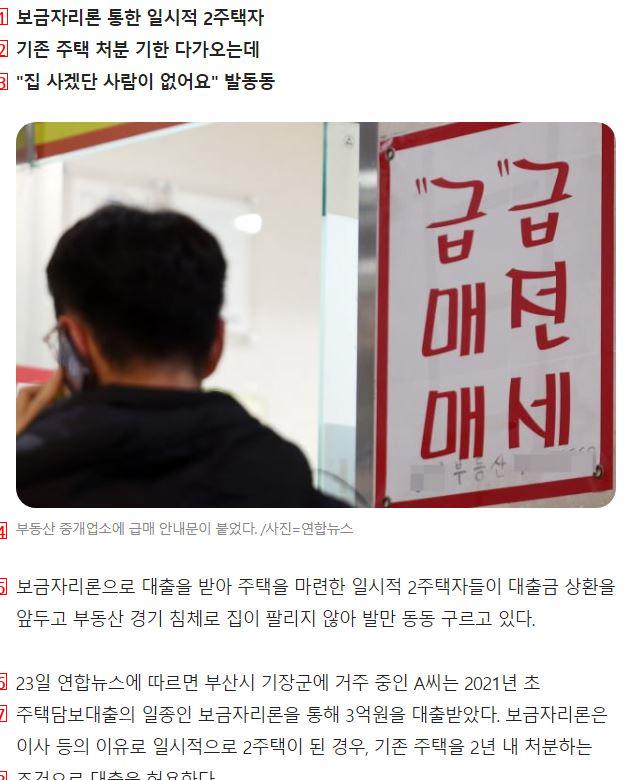 """"3억 대출 받았는데 어떻게 갚아요""""…난리 난 일시적 2주택자