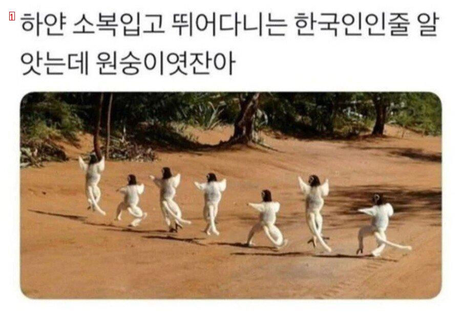 白い制服を着て走る韓国人ではない。