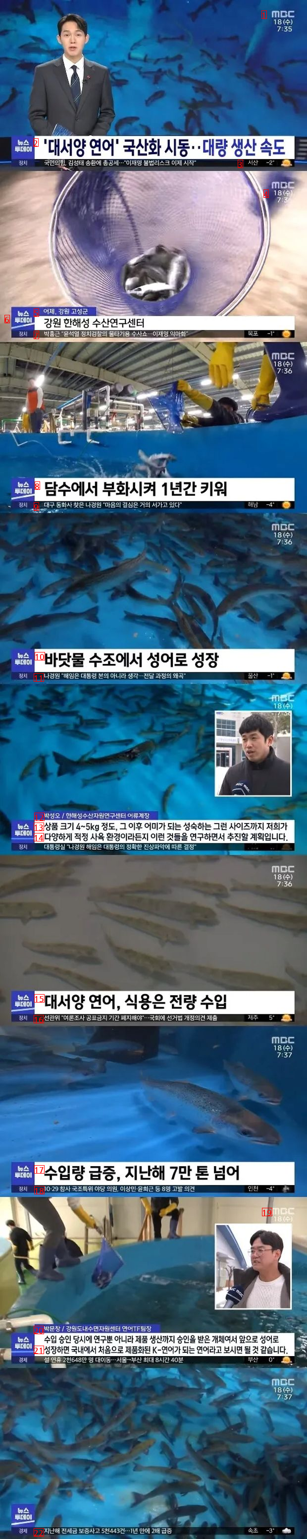 鮭の国産化のニュース