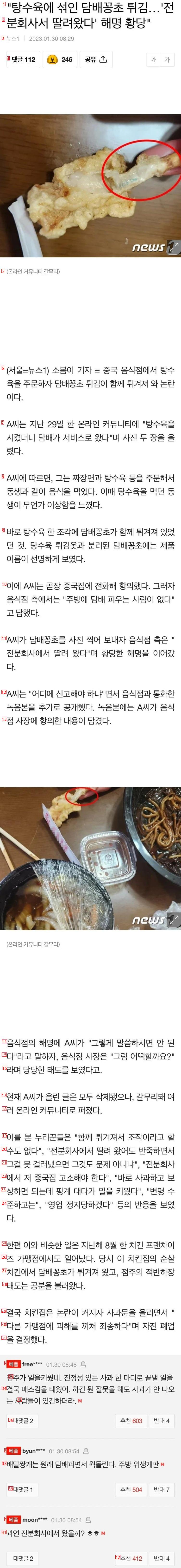 タバコ味酢豚に関する中華料理店の説明