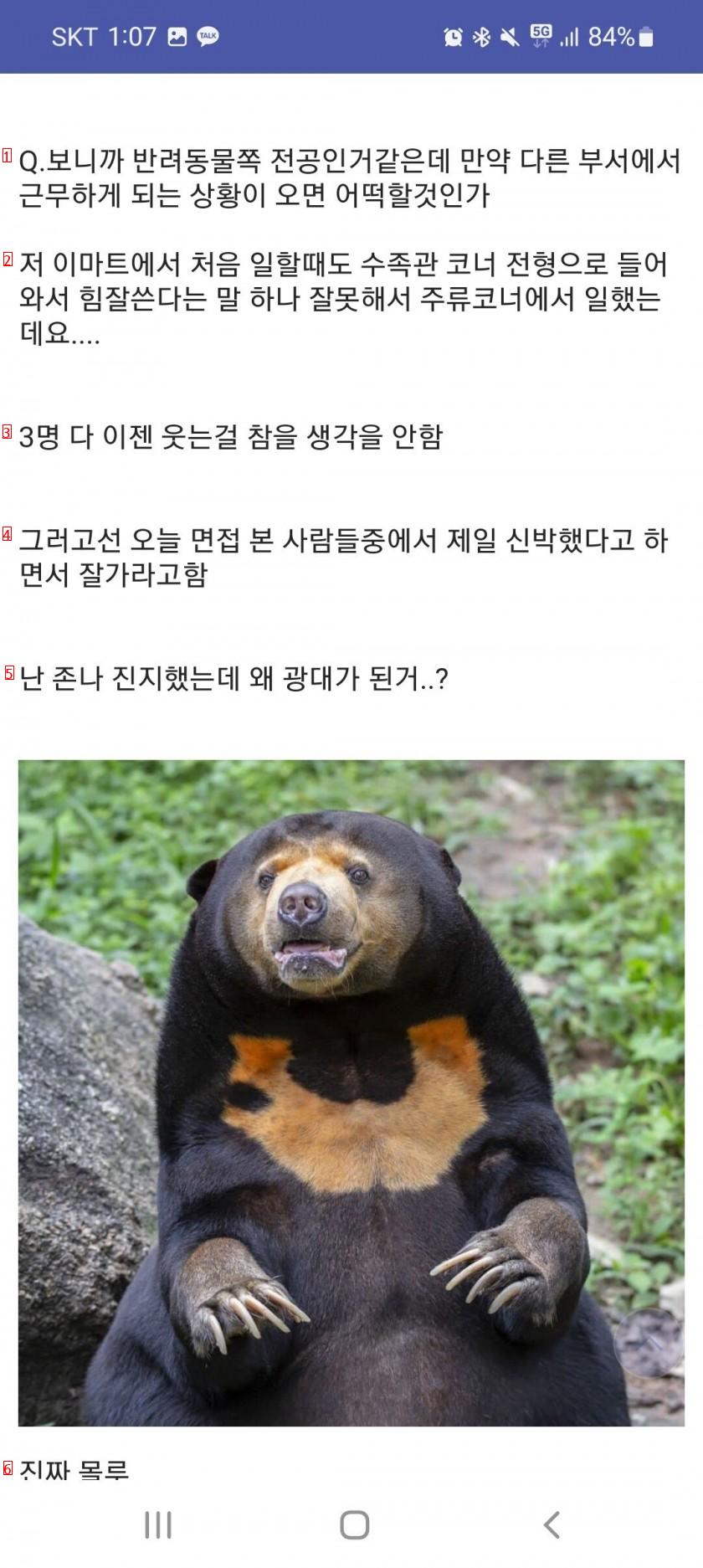 면접 조진것 같다 ㅅㅂ