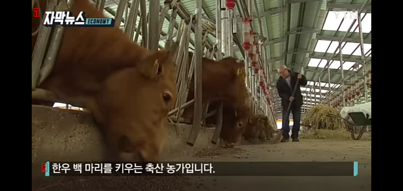 ●韓牛農家の非常流通費用が半分