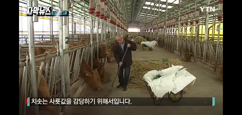 ●韓牛農家の非常流通費用が半分