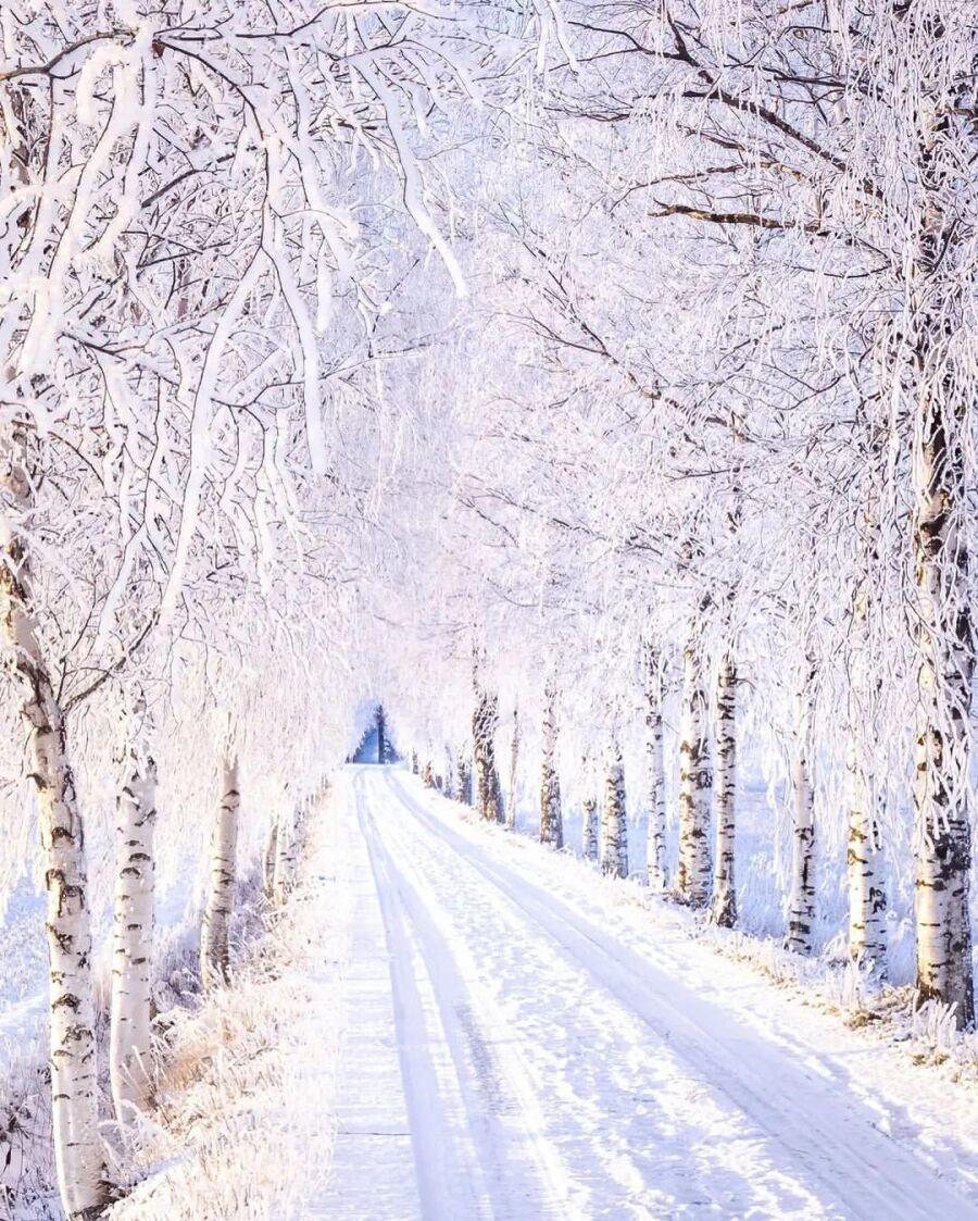 핀란드 시골 겨울 풍경.jpg