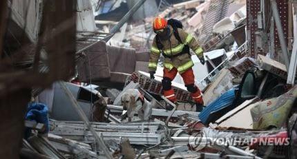 テュルキエに派遣された韓国救助犬の近況jpg