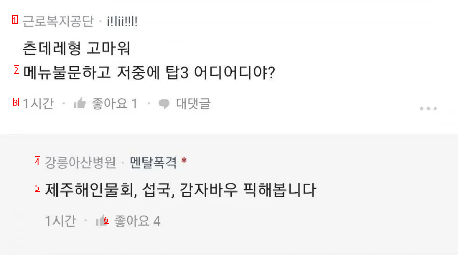 강릉에 여행좀 그만오라는 강릉인.jpg