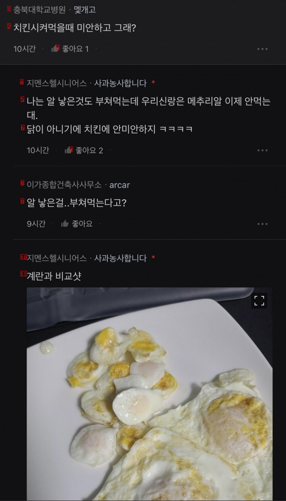 애완용 메추리 자랑하는 블라인