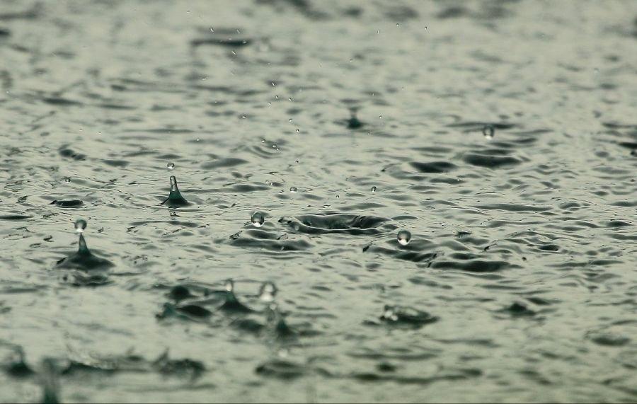 雨の日に嗅ぐことができる土の匂いの正体