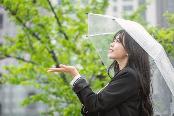 雨の日に嗅ぐことができる土の匂いの正体