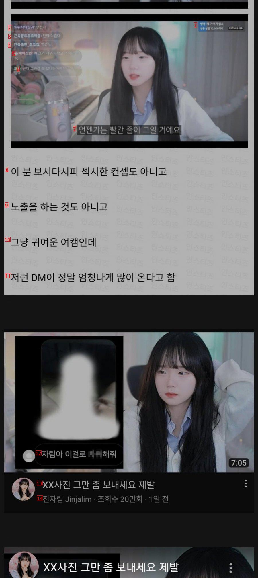 어느 여성 스트리머가 받는 DM의 수준을 알아보자