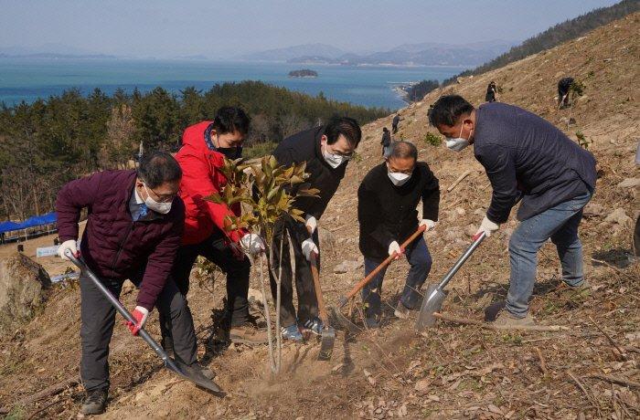 韓半島白頭大幹の各種大小の山にある松の致命的な短所jpg