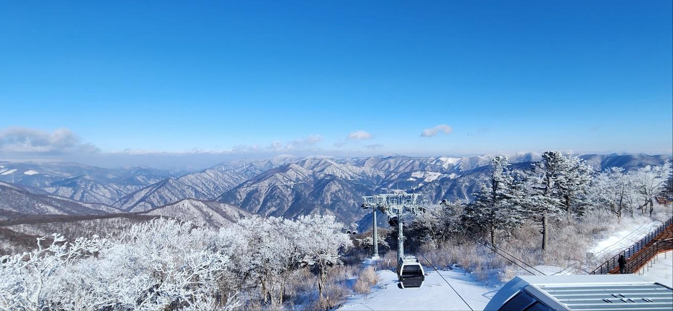 환경파괴 논란 있었던 동계올림픽 정선 알파인 경기장 근황