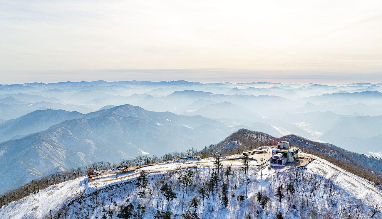 환경파괴 논란 있었던 동계올림픽 정선 알파인 경기장 근황