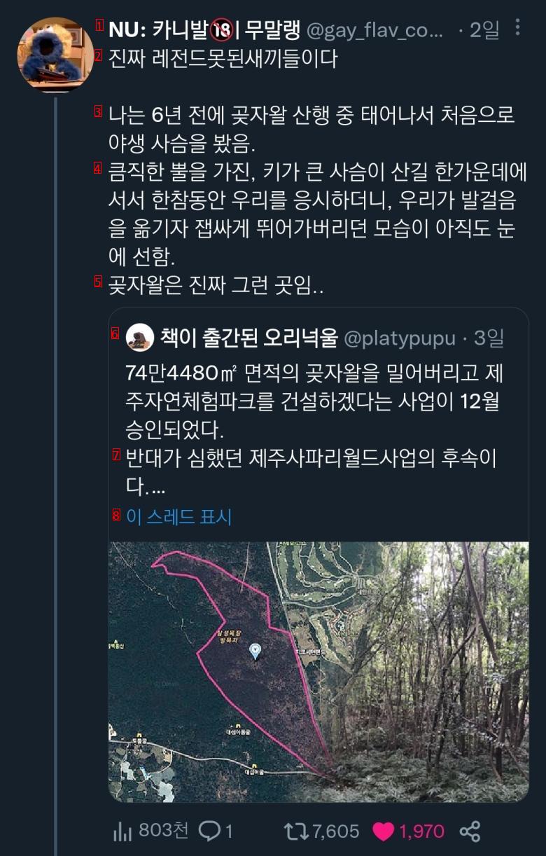 제주도 생태계 날벼락 근황 논란