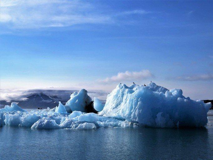 北極で肝臓移植が不可能な理由
