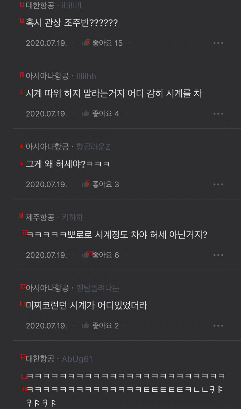 승무원들이 애플워치 유난히 많이 차던데 왜 그런거야?..blind