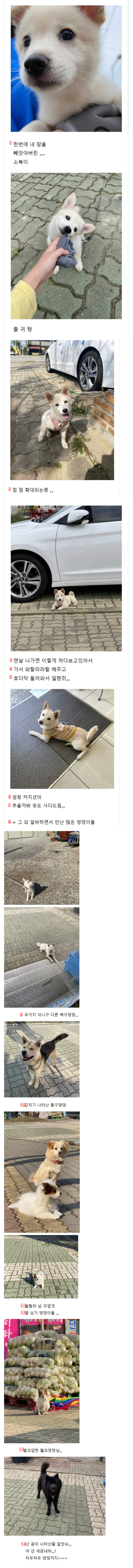 댕댕이를 몰고 다니는 편의점 알바