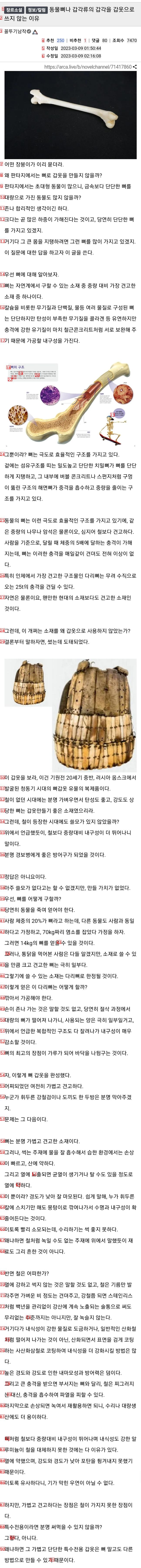 동물뼈나 갑각류의 갑각을 갑옷으로 쓰지 않는 이유