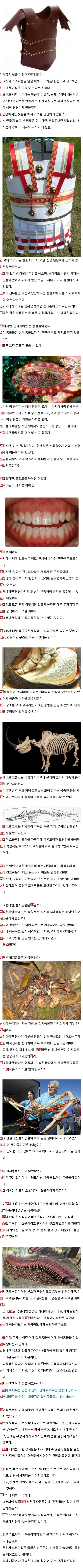 動物の骨や甲殻類の甲殻を甲冑として使わない理由