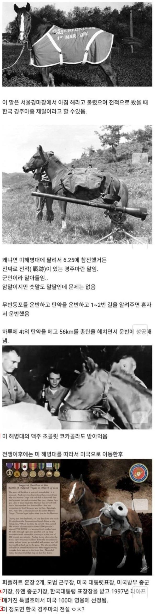 韓国伝説の競走馬クラス