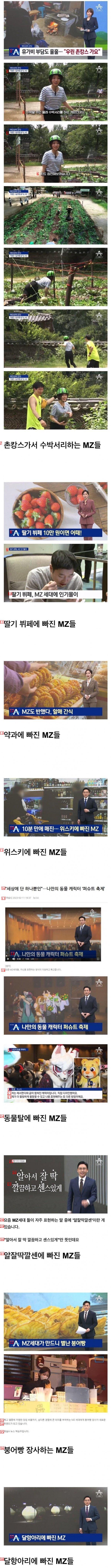 뉴스에 나오는 요즘 MZ세대들