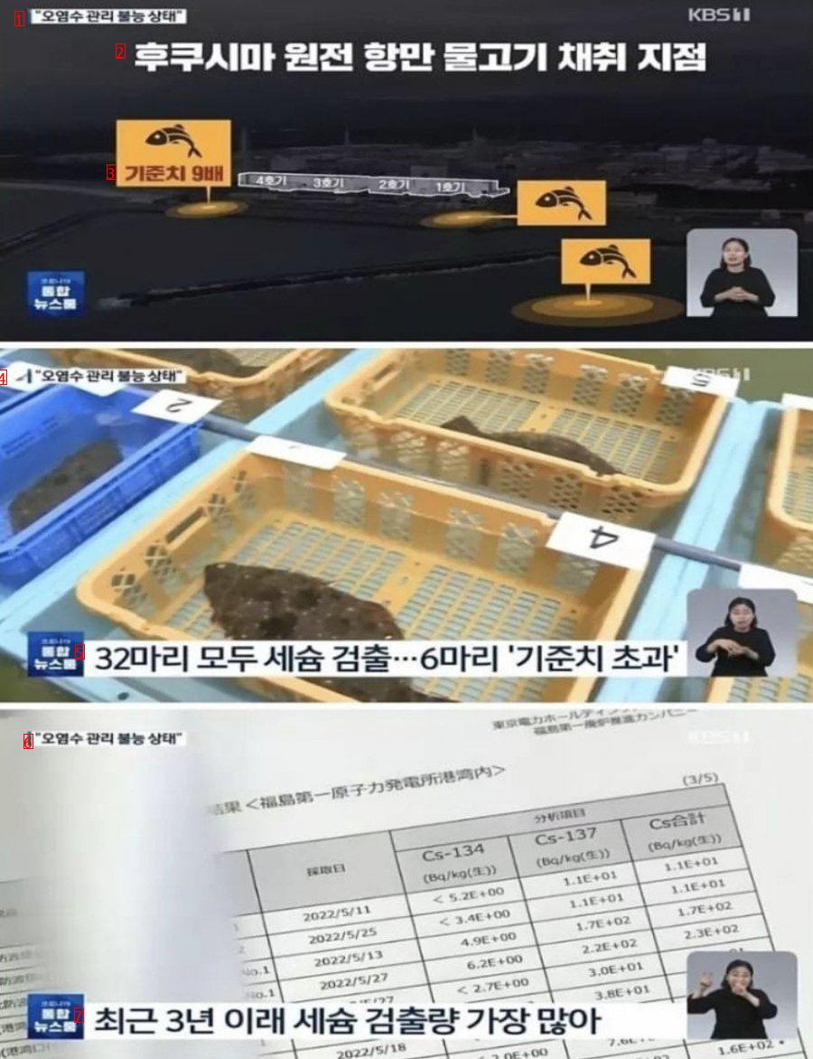 후쿠시마 물고기 상태.jpg