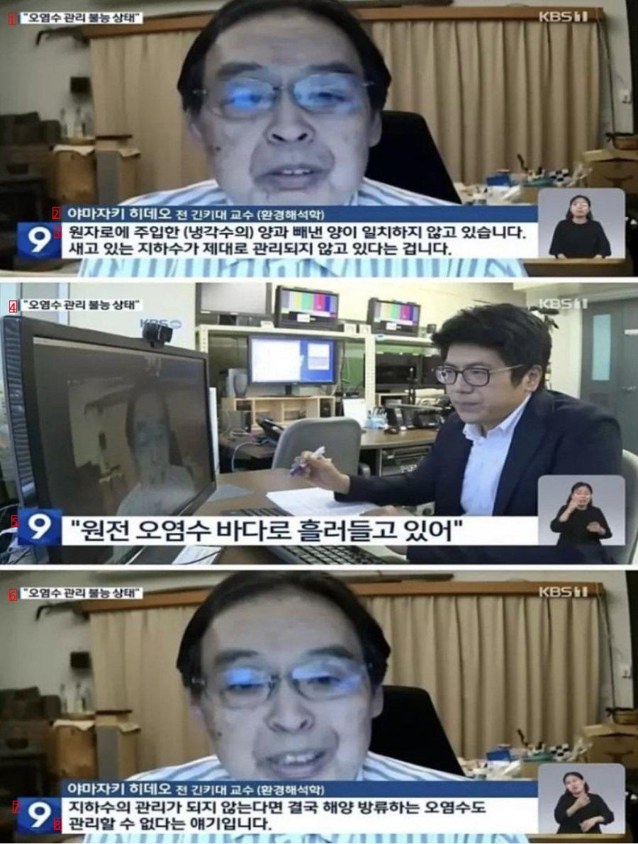 후쿠시마 물고기 상태.jpg