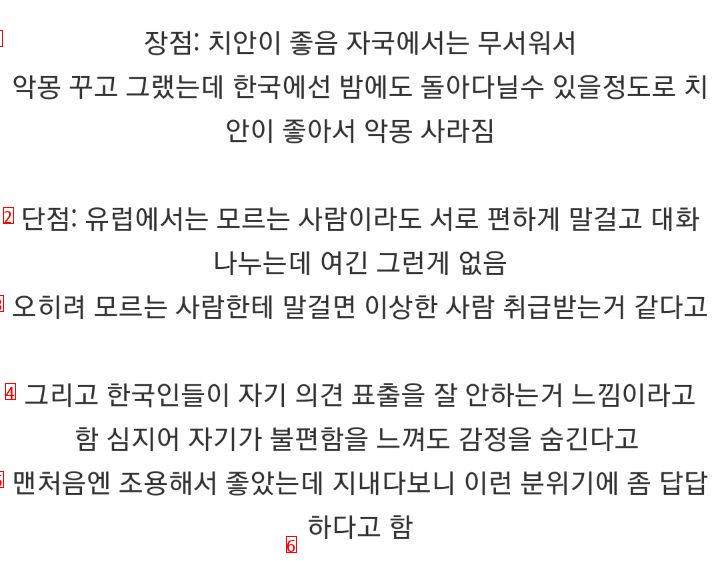 한국생활 7년차 외국인 여성이 느끼는 한국 장단점