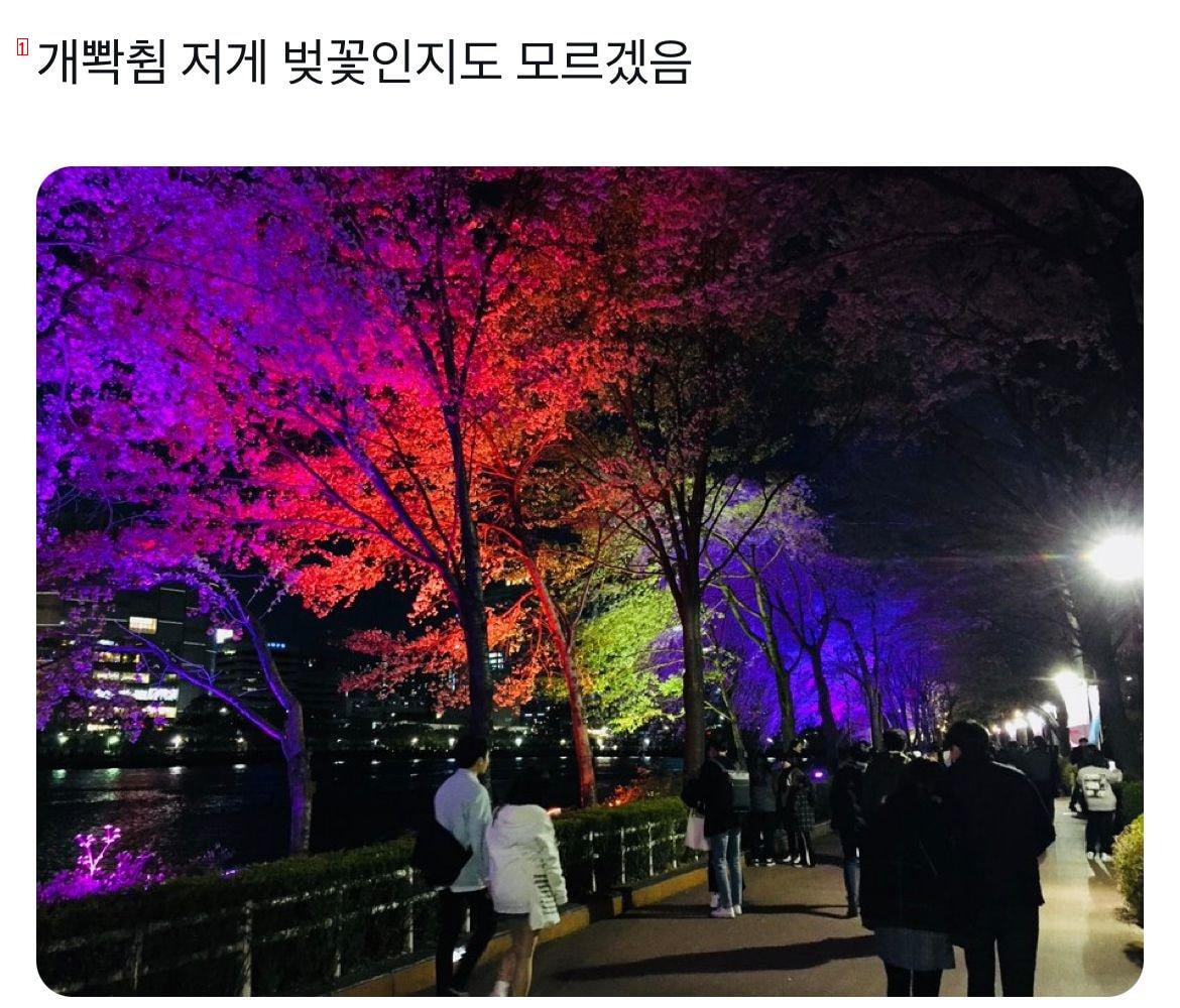 미적감각이 없는 한국식 조경산업