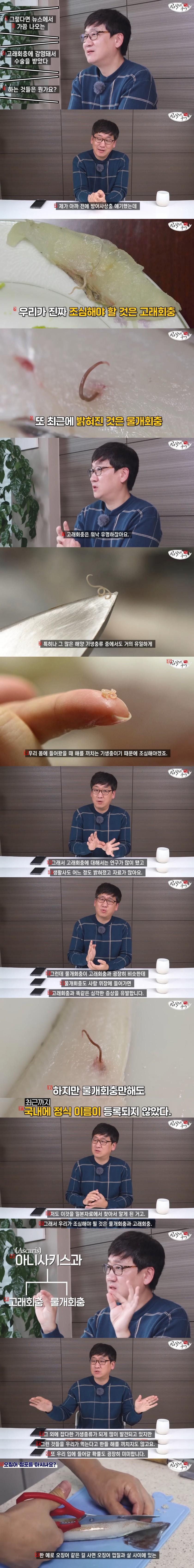 약혐) 우리가 먹는 생선회에는 얼마나 많은 기생충이 있을까?