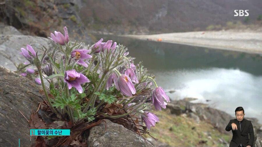 ●「狂った春の花」写真家たちの近況