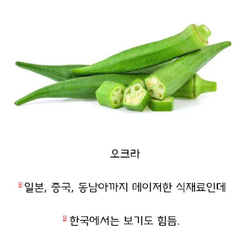 東アジア諸国の中で韓国だけで食べない野菜jpg