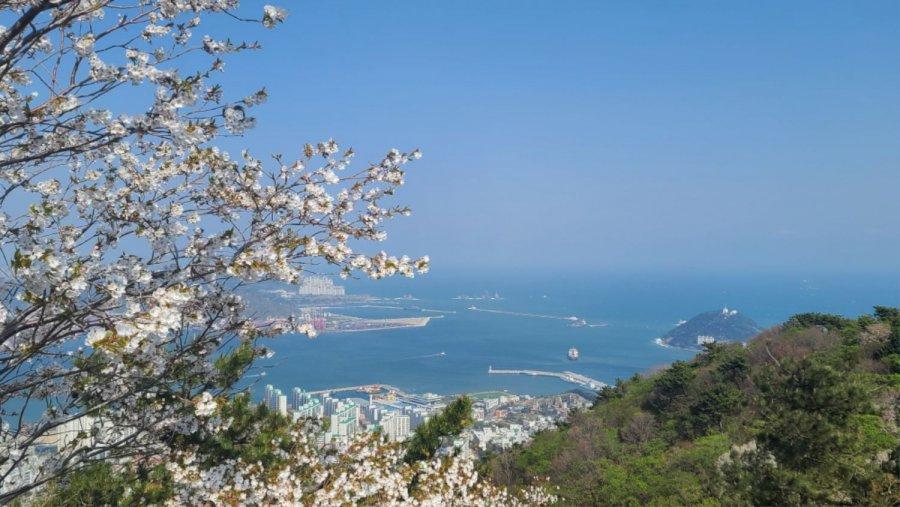 산스장 근황