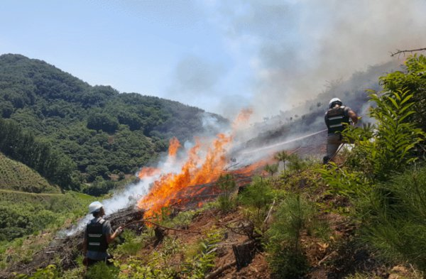 [속보] 충남 보령시 청라면 산불…산불 대응 2단계로 상향