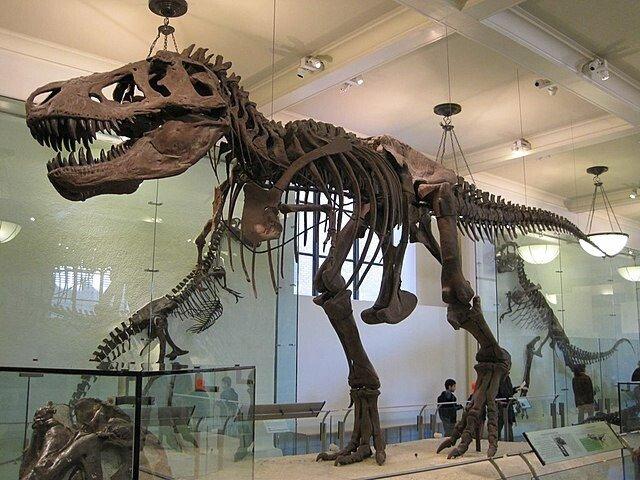 ティラノサウルスの近況