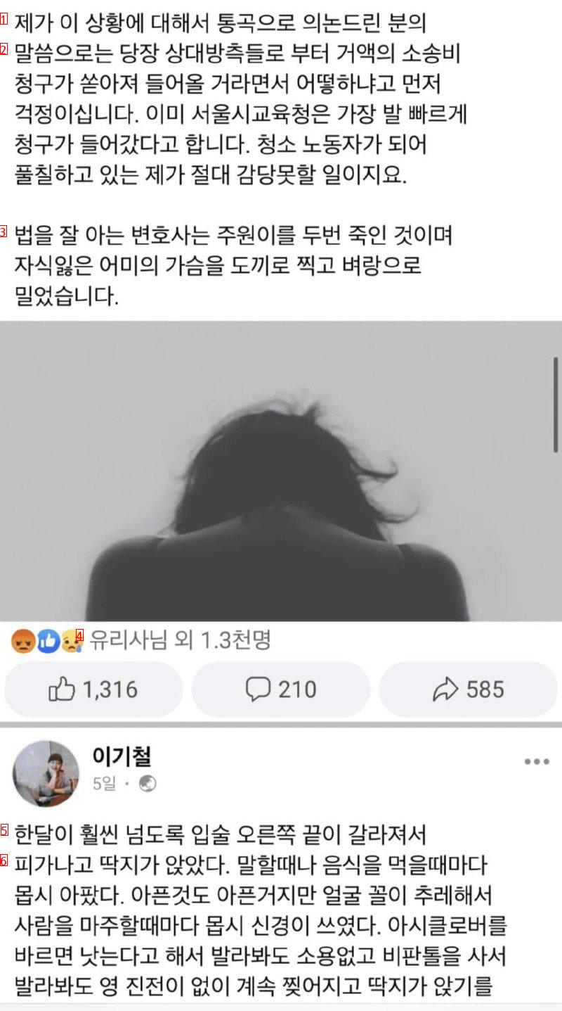 변호사 불참 패소한 학폭소송사건 유가족 호소문