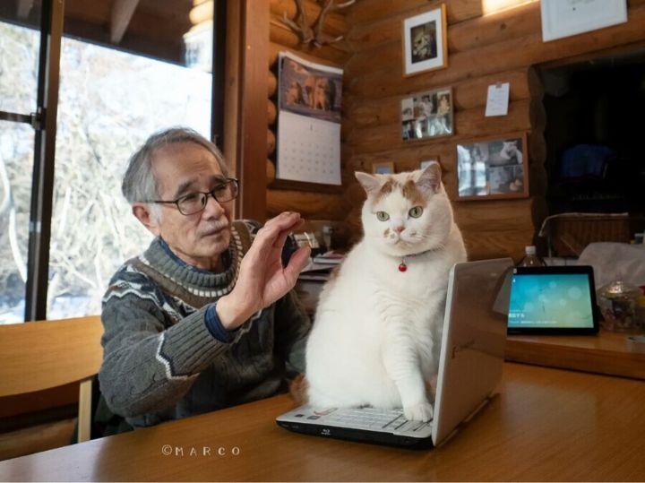 僕が触らないでって言ったじゃん