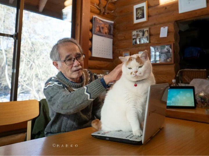 僕が触らないでって言ったじゃん