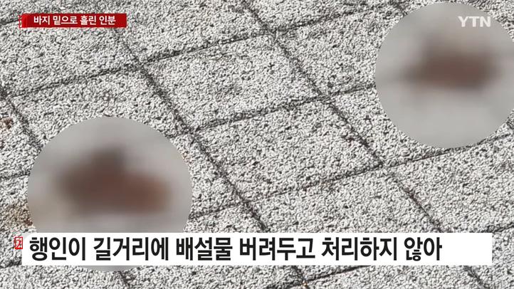 더러움주의) 개똥인줄 알았는데....CCTV 보고 깜짝 놀란 상인 ㄷ