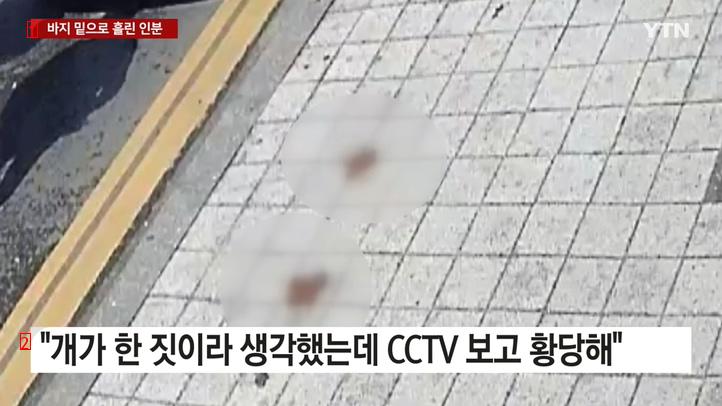 더러움주의) 개똥인줄 알았는데....CCTV 보고 깜짝 놀란 상인 ㄷ