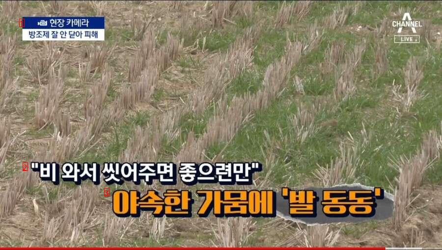 건설사 실수로 올해 농사 망한 마을