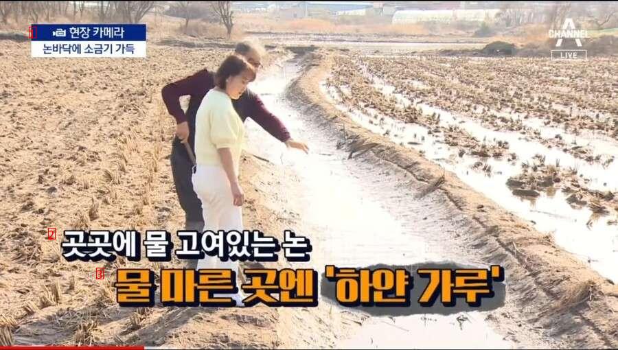 건설사 실수로 올해 농사 망한 마을