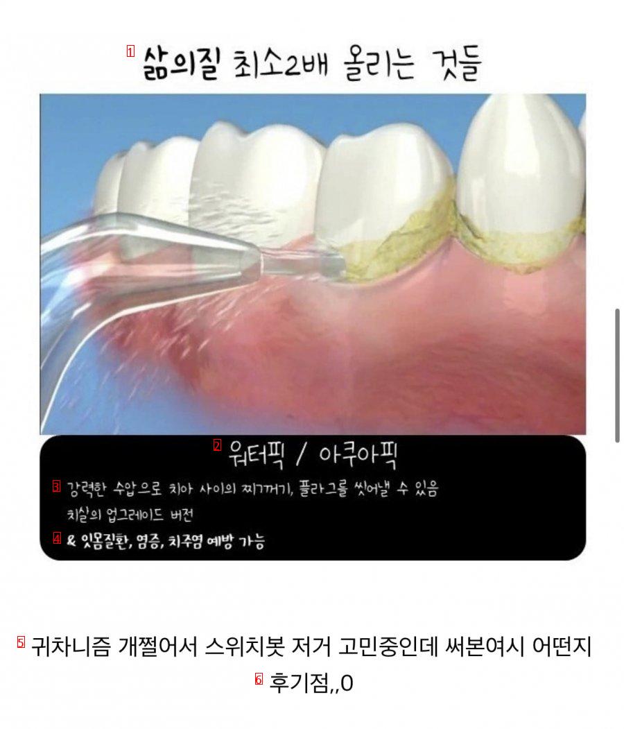 삶의 질 2배로 올려준다는 것 ㄷㄷ