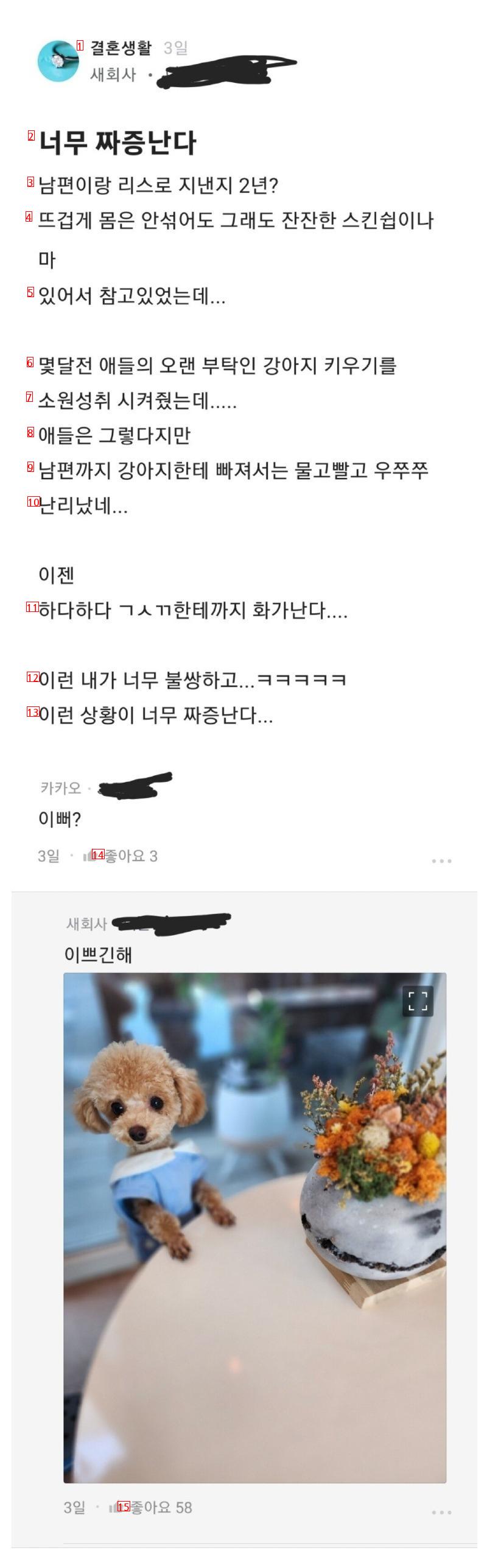 ㅅㅅ리스 2년째 너무 짜증나는데...