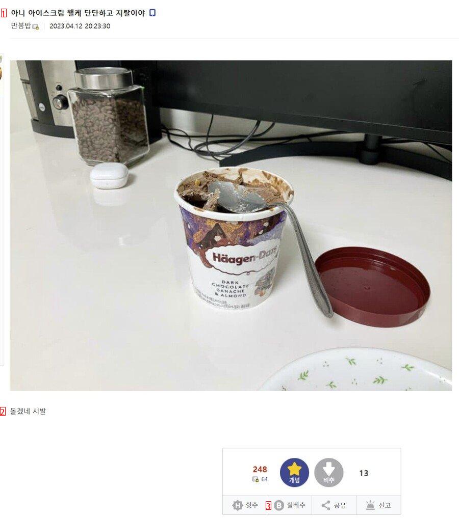 아이스크림과 싸워 패배한 디씨 유저.jpg