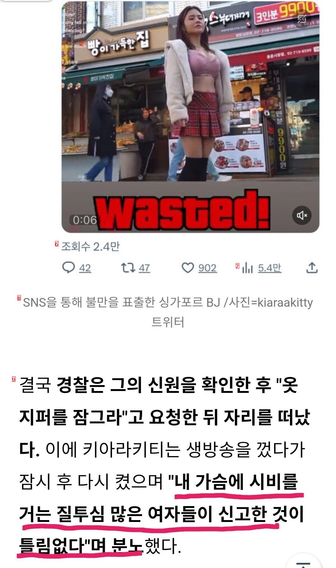 외국BJ """"한국여자가 내가슴 질투해서 신고했다""""