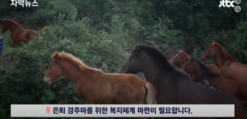 成績が出ず引退させた競走馬を飼料にしてしまった馬事会